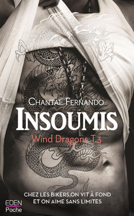 Couv Insoumis – Wind Dragons tome 3